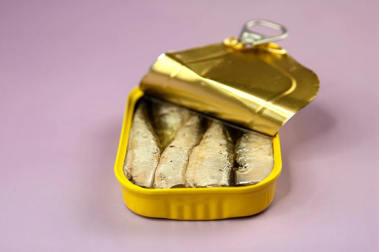 Best Canned Sardines For Dogs Depend On Dogs