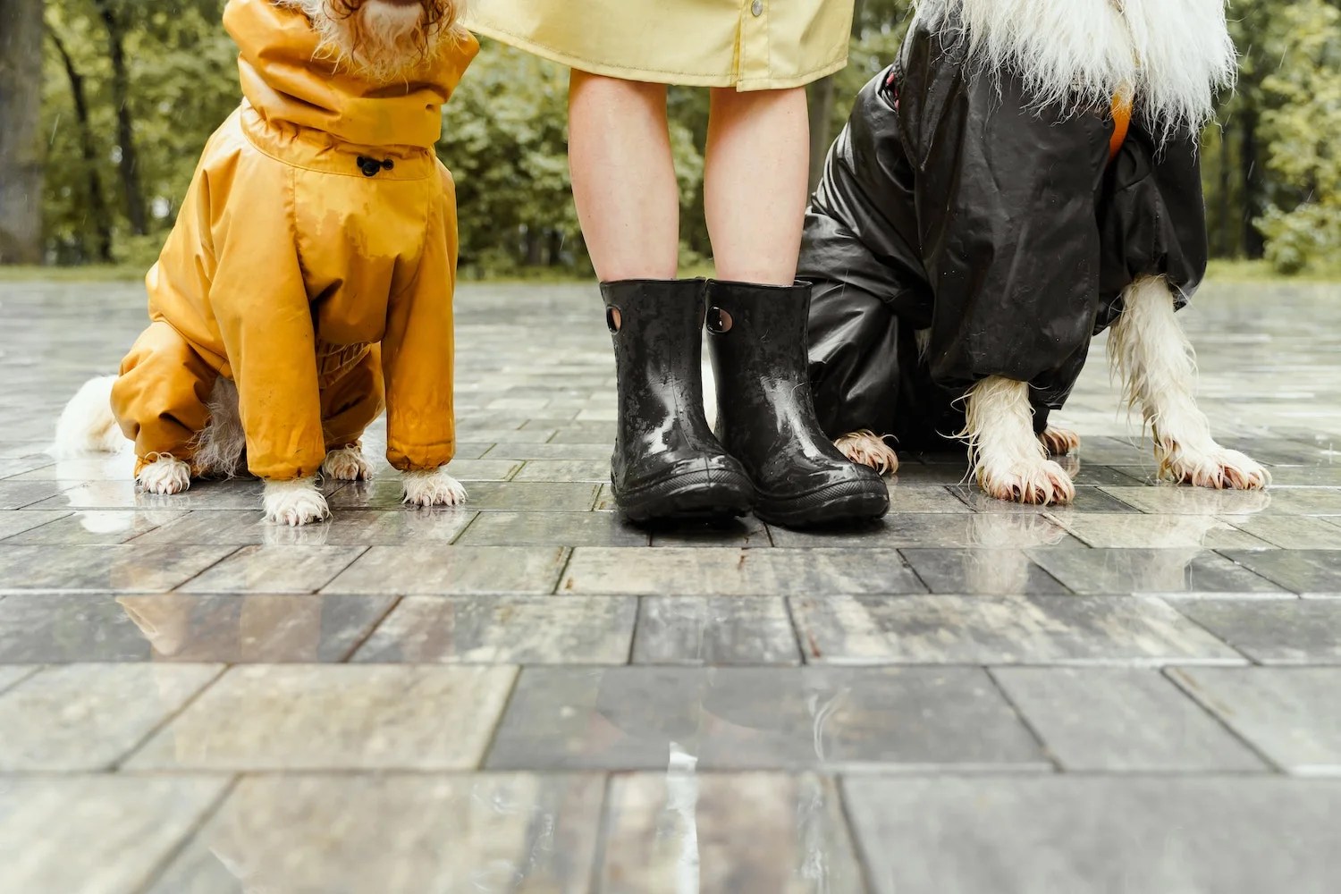 The Very Best Dog Walking Wellies Depend On Dogs