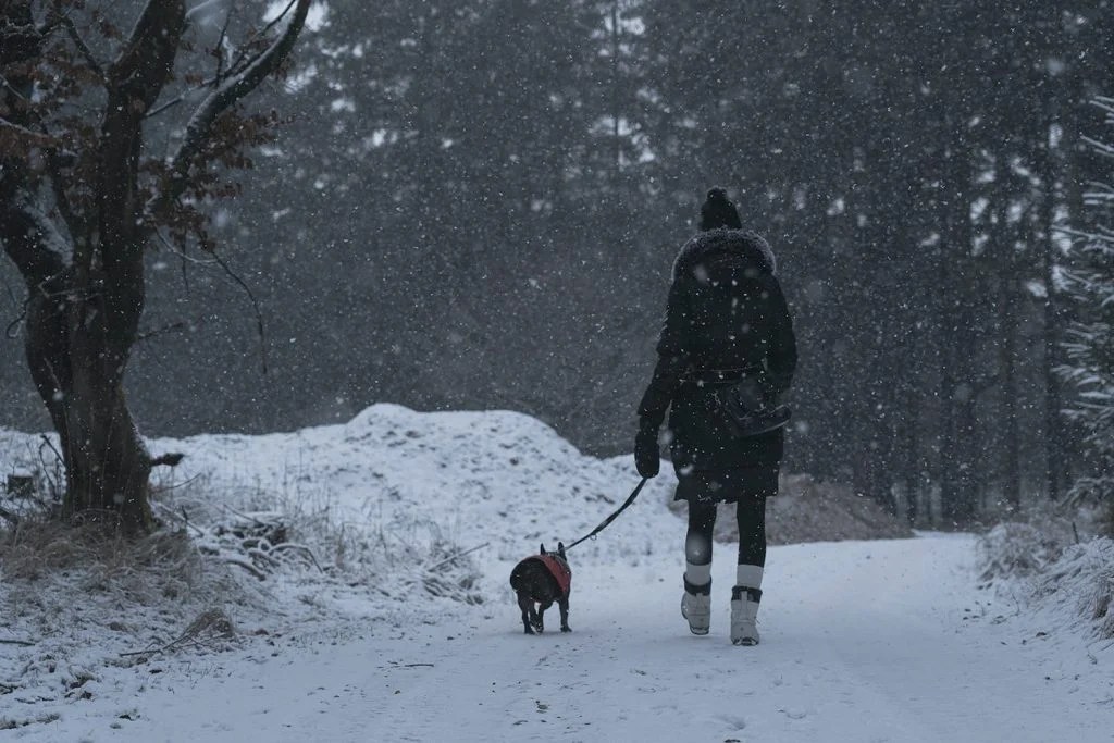 The Best Gloves For Dog Walking Depend On Dogs