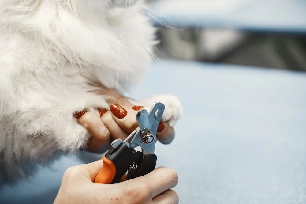 How To Use Dog Nail Clippers Depend On Dogs