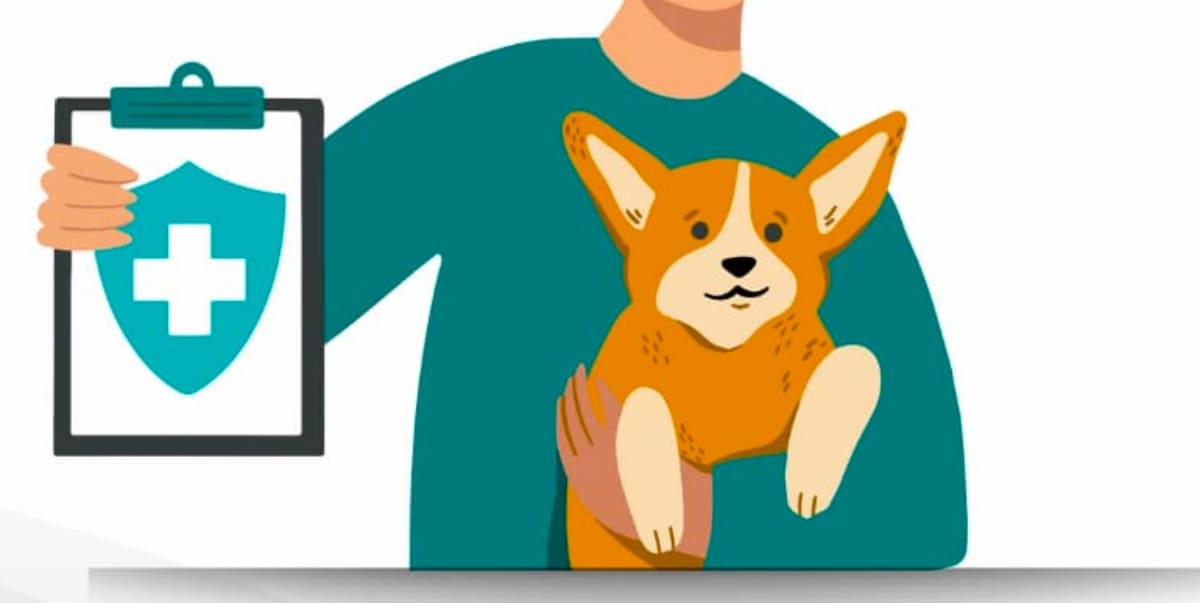 5 Best Pet Insurance Companies In The U.S. (2023)