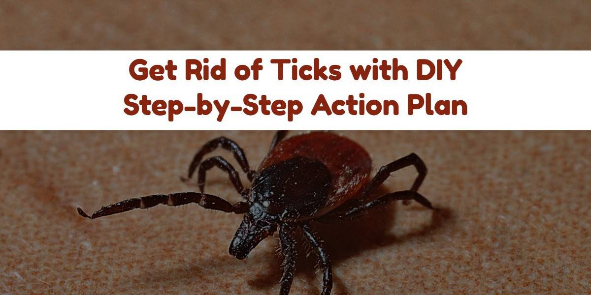 How to Get Rid of Ticks on Dogs and Humans (IN YARD & HOUSE)