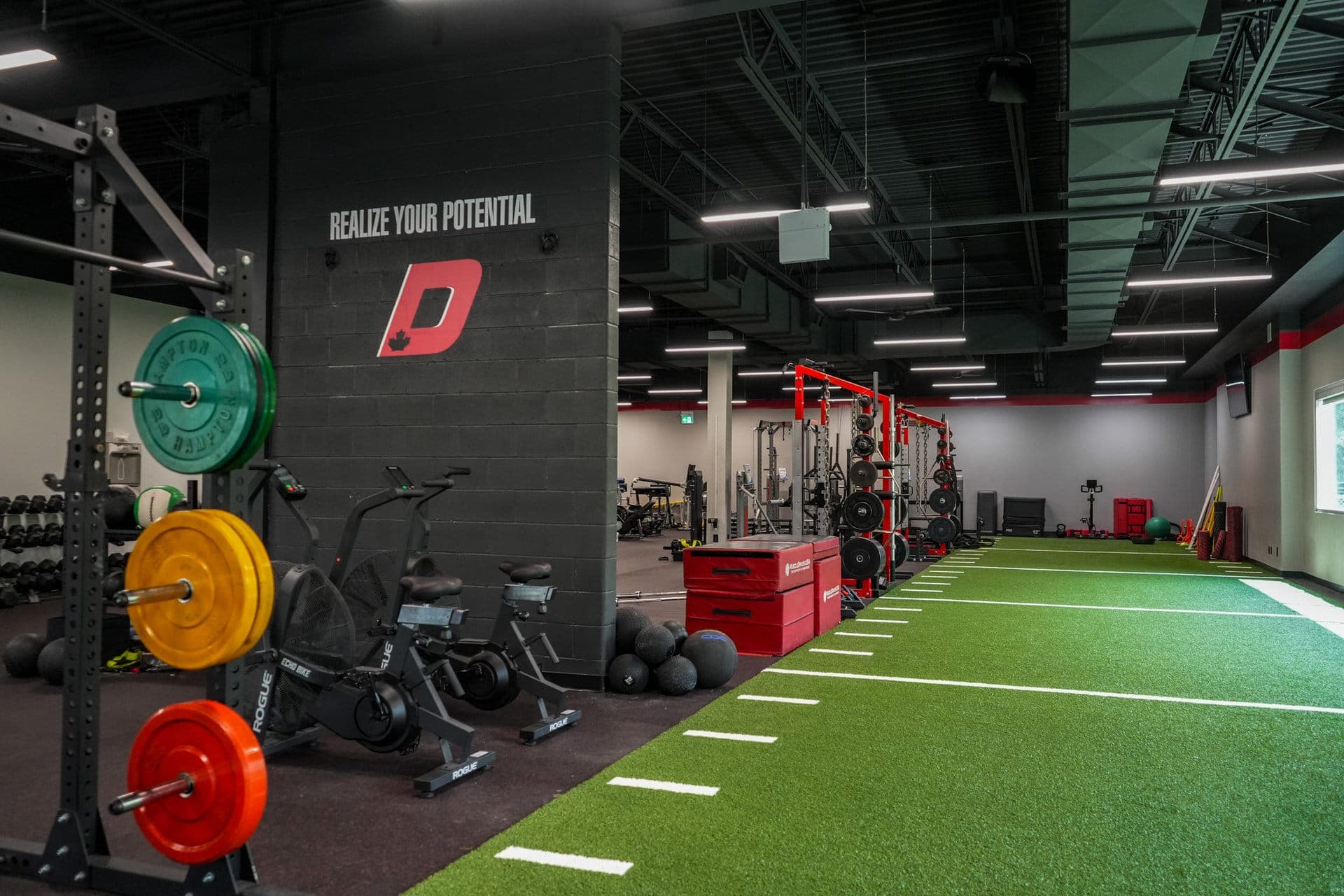 Physiotherapy, Personal Fitness, & Athletic Training in Kitchener/Waterloo