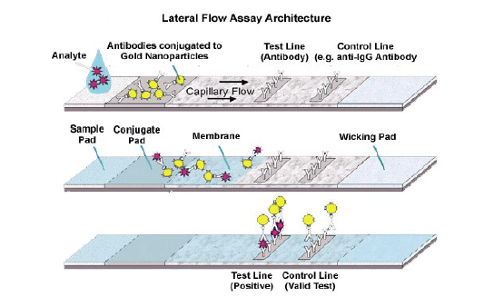 NextGen Point of Care Immunoassay PCI Lab