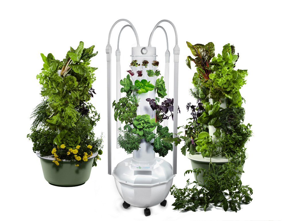 Kweek het hele jaar door groente met de Tower Garden