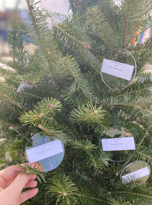 Wonderfund Christmas 2022 Wonderfund Holiday Giving Trees - Derby Street Shops