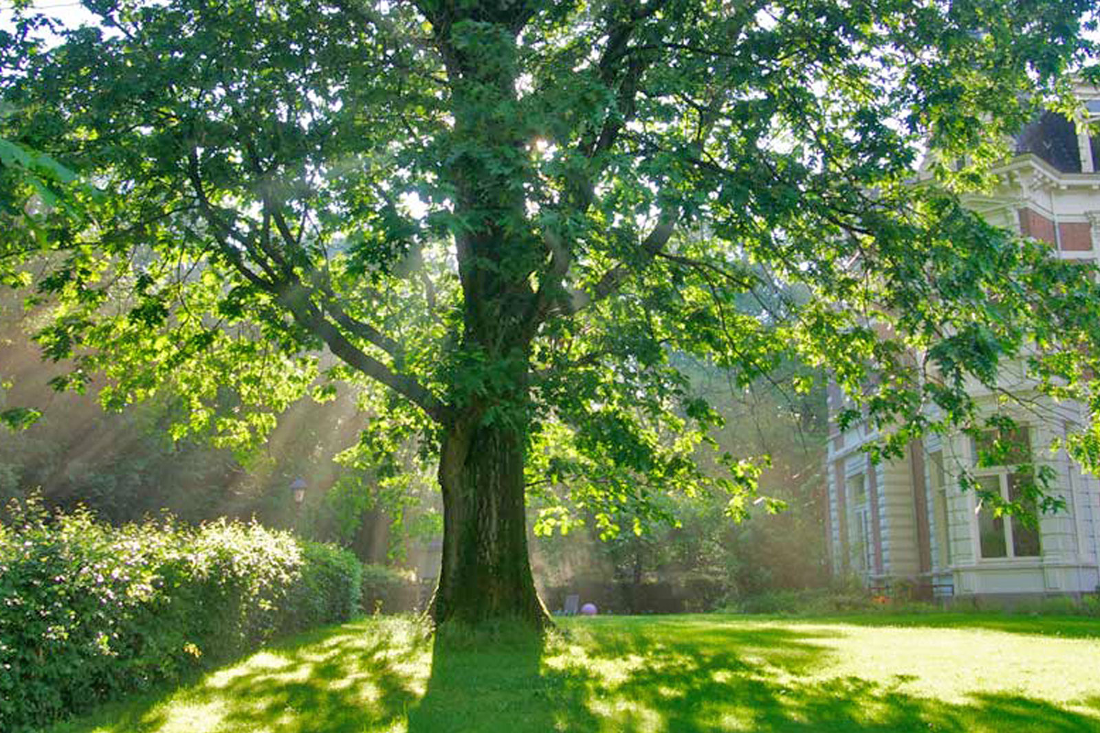 Over De Refter De Refter Wonen en werken in zelfbeheer
