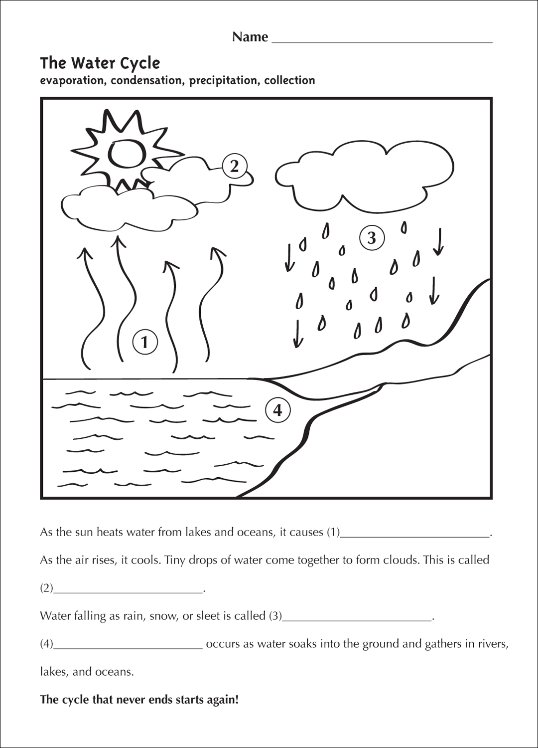 Science, Grade 2, Water Cycle Experiment – Derek S. Barrigar