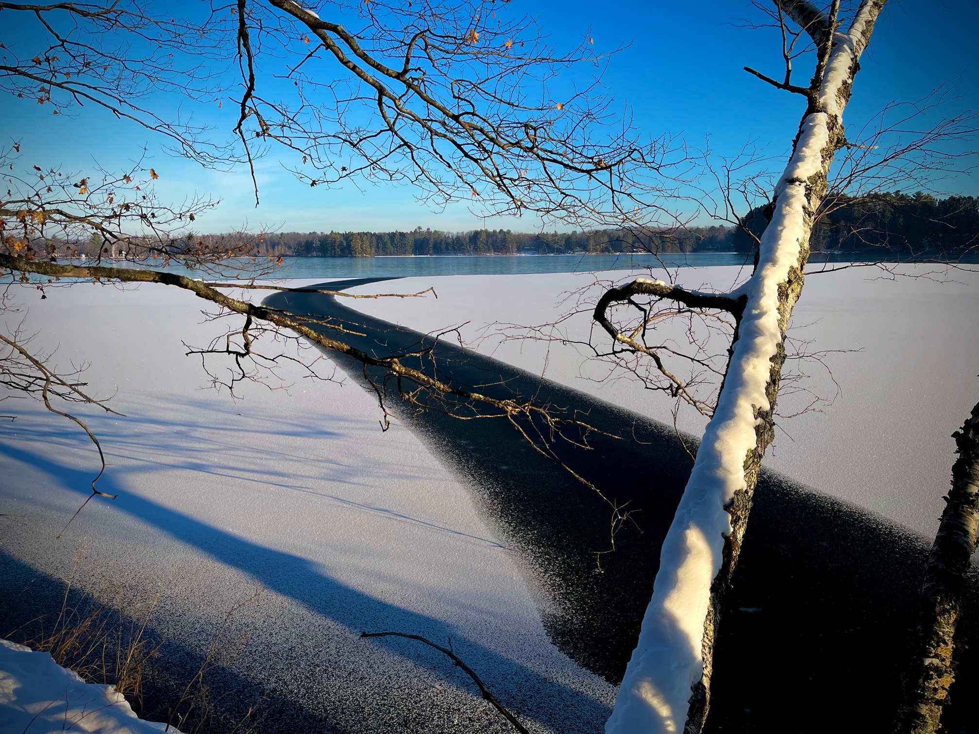 Derek H. Ogle Portfolio of Fun Analyses