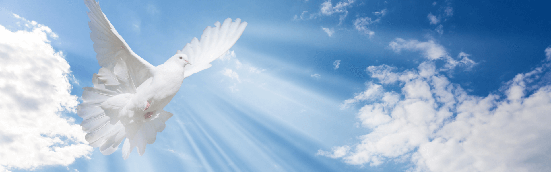 Se laisser guider par le SaintEsprit Derek Prince Ministries France