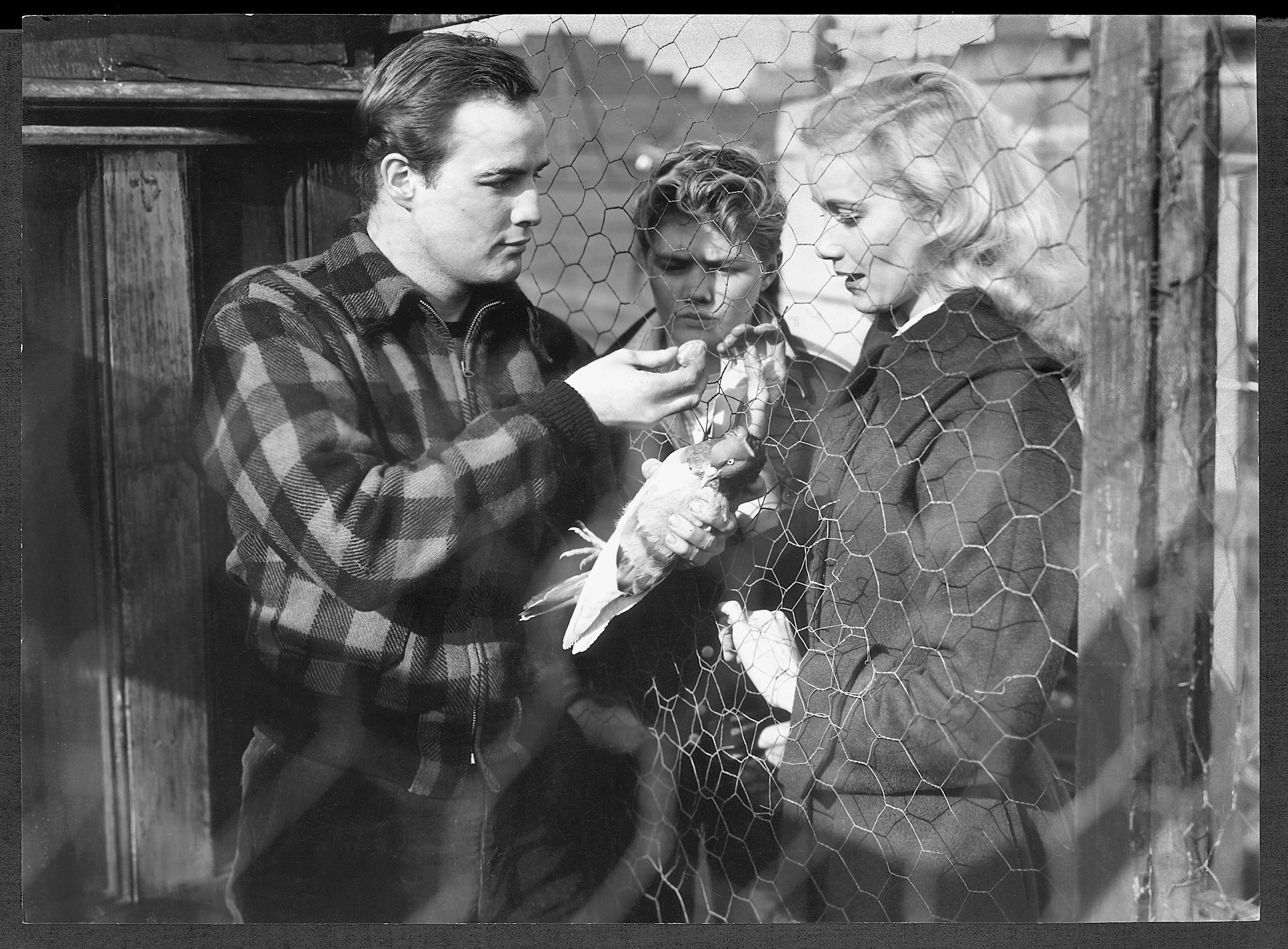 On the Waterfront ***** (1954, Marlon Brando, Rod Steiger, Eva Marie