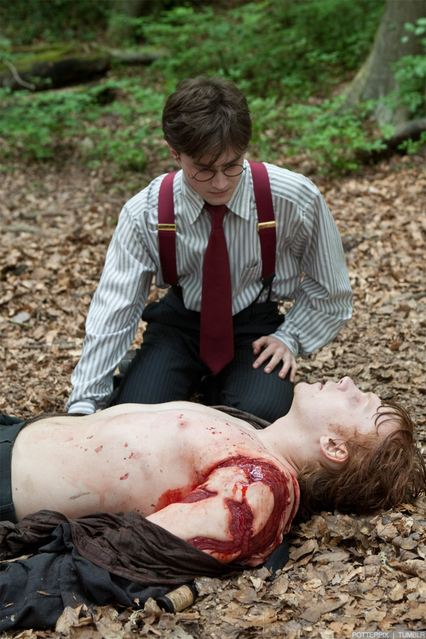 Harry Potter and the Deathly Hallows Part 2 **** (2011, Daniel