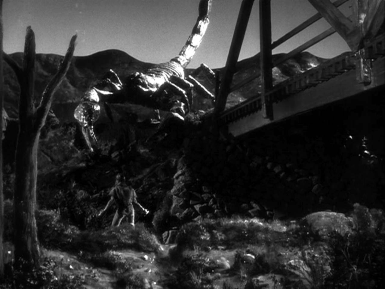 The Black Scorpion ** (1957, Richard Denning, Mara Corday, Carlos Rivas