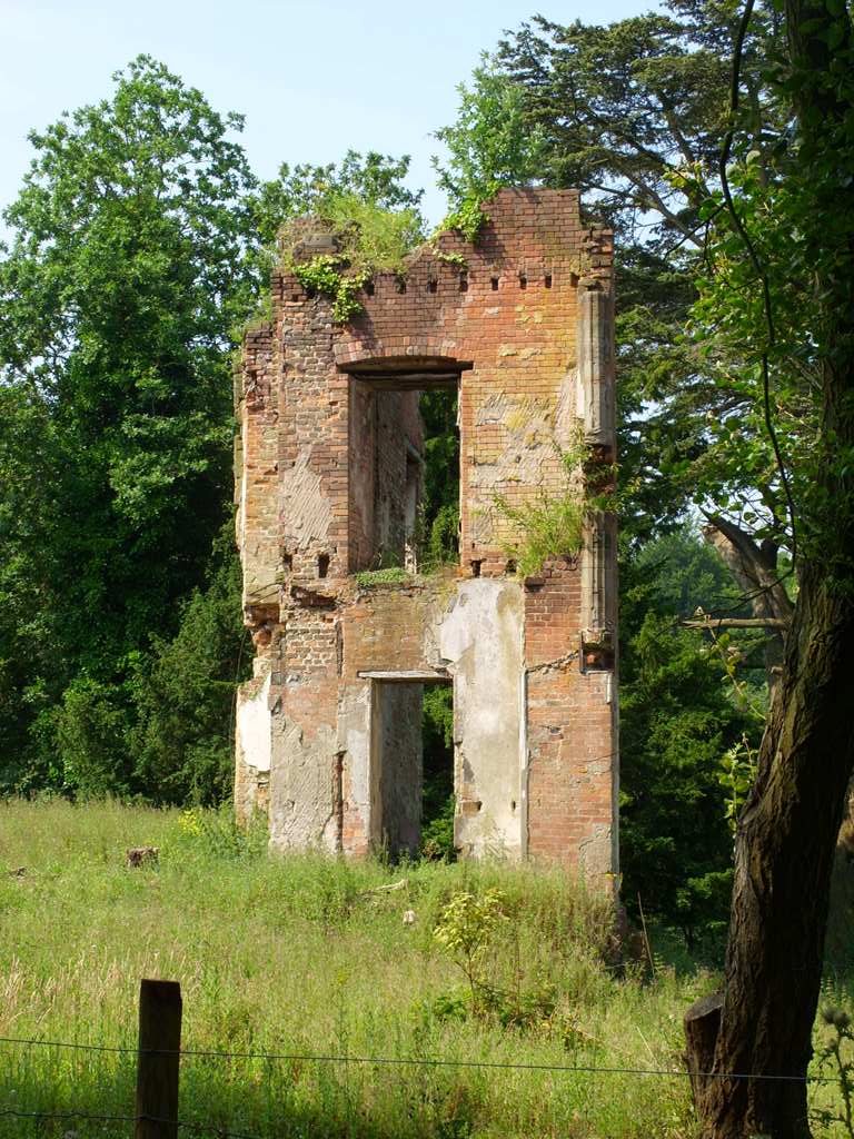 The Derelict Miscellany