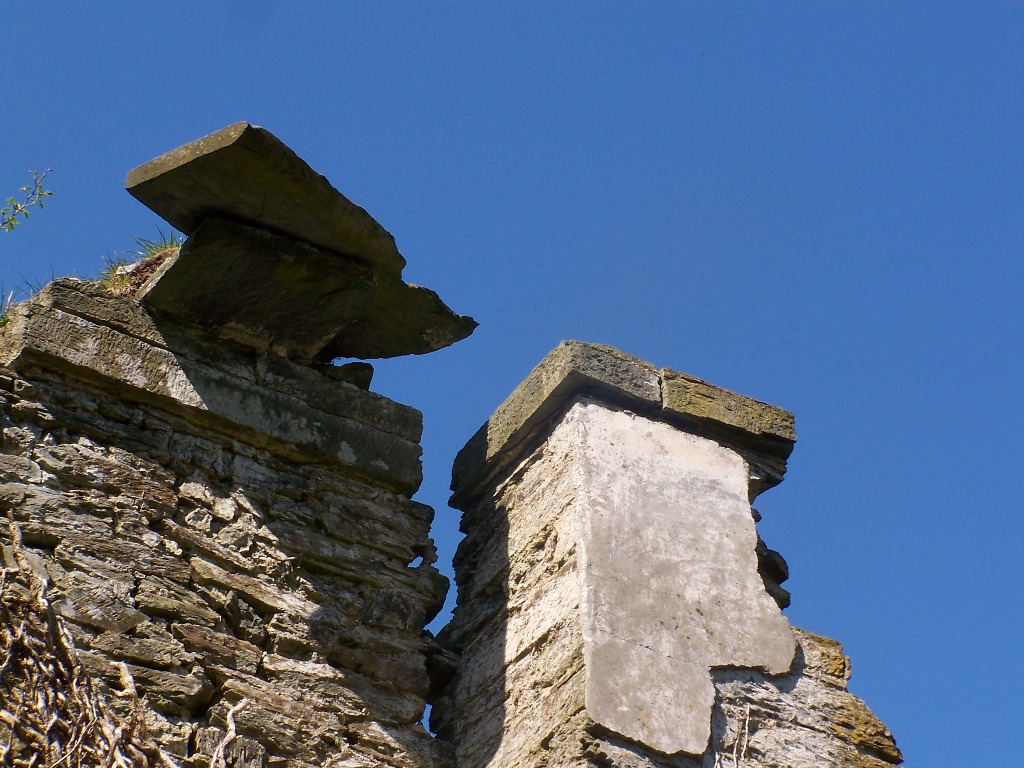 The Derelict Miscellany