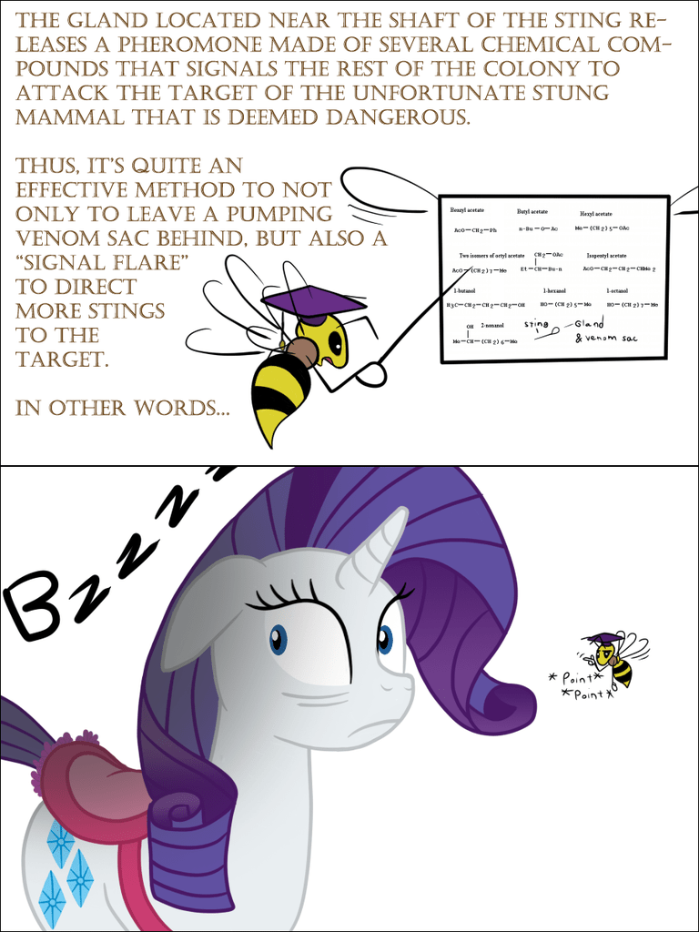 #437113 - safe, artist:bsting, rarity, bee, g4, bee fetish - Derpibooru