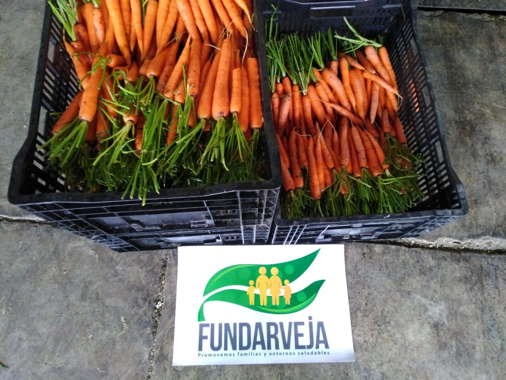 Comité de Arveja y Vegetales de Agexport dona a servidores públicos y a población vulnerable, vegetales de exportación