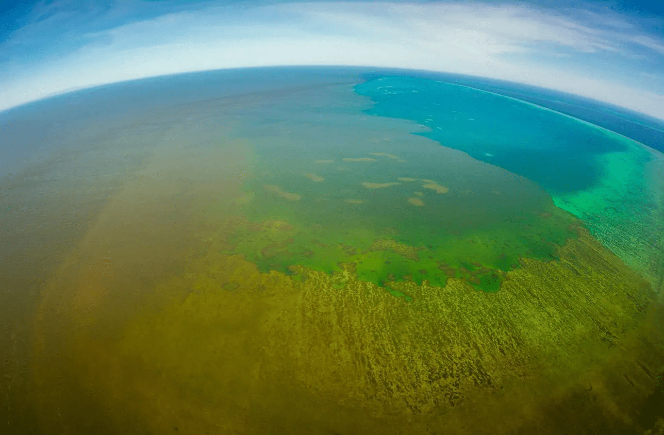 Great Barrier Reef threatened by dirty water from recent floods