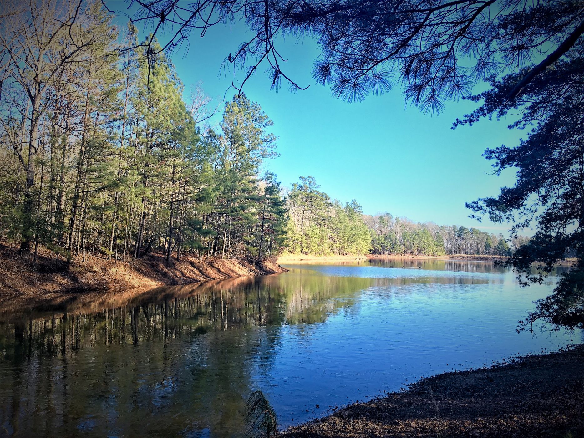 Moore County NC Real Estate & Attractions DeSell & Co Realtors