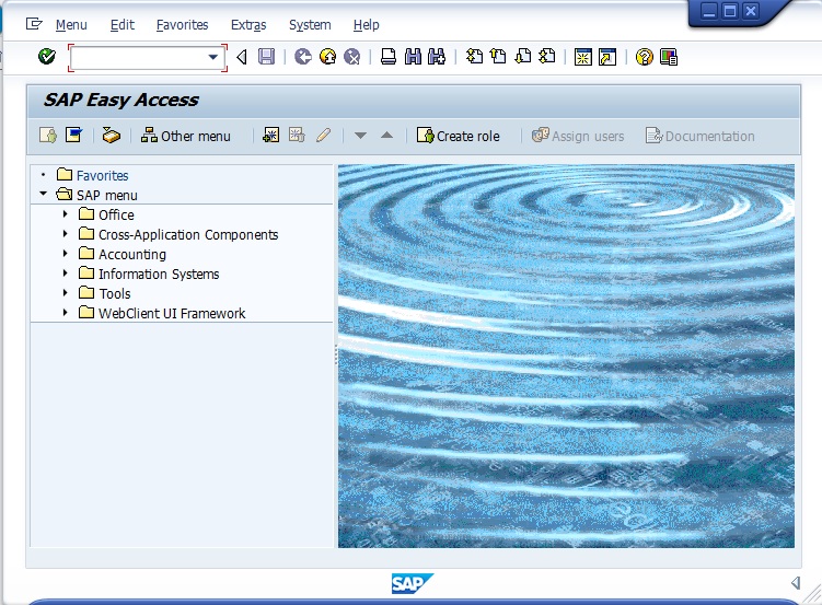 Sap Gui 760 Para Windows Carlos Salgueiro