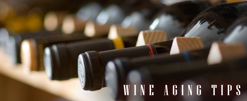 Which Wines Age Well? Aging Tips 101