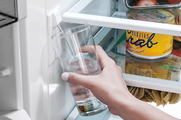 SubZero Refrigerator Ice Smells Desertech Appliance Service and Repair