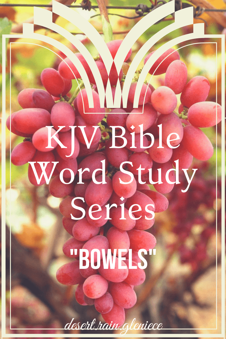 Bowels KJV Bible Word Study Series Desert Rain