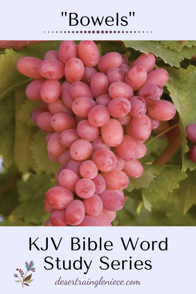 Bowels KJV Bible Word Study Series Desert Rain