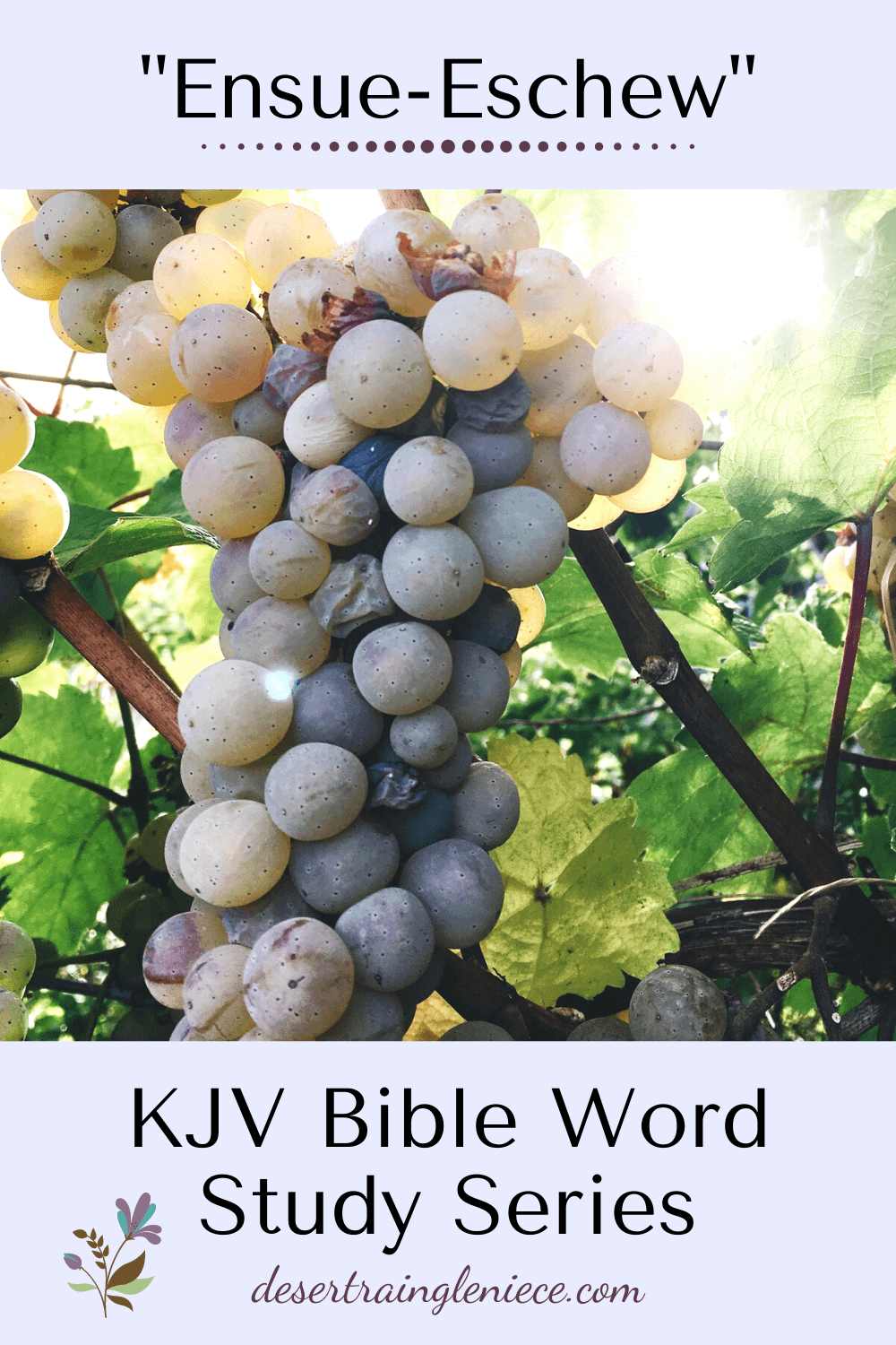 EnsueEschew KJV Bible Word Study Series Desert Rain