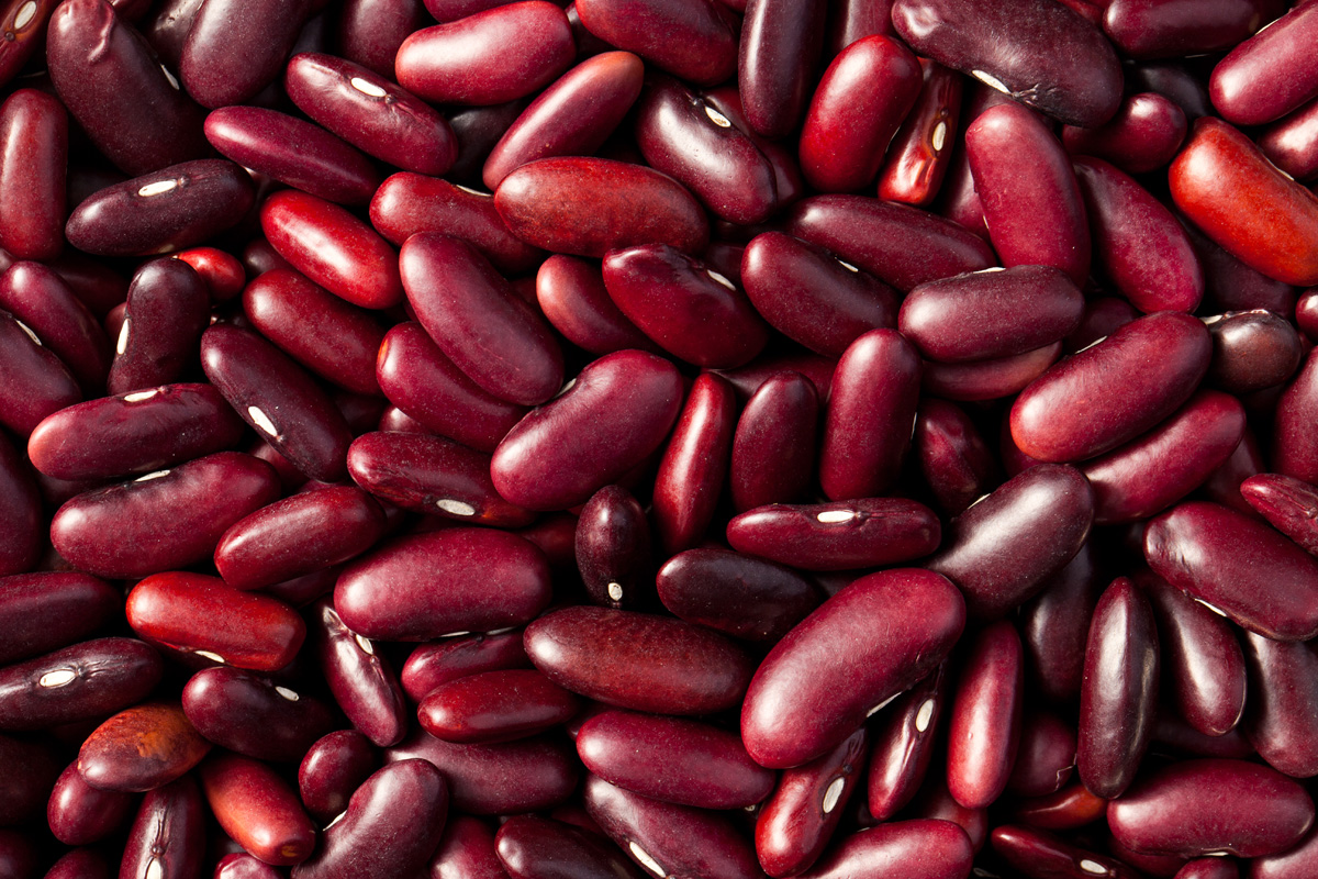 The Best Foods For Dementia Patients To Eat Desert Winds Retirement