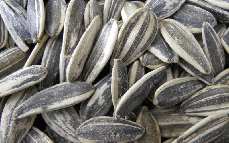 Sunflower Seeds Flavors List Vote for your Favorite Deshelled