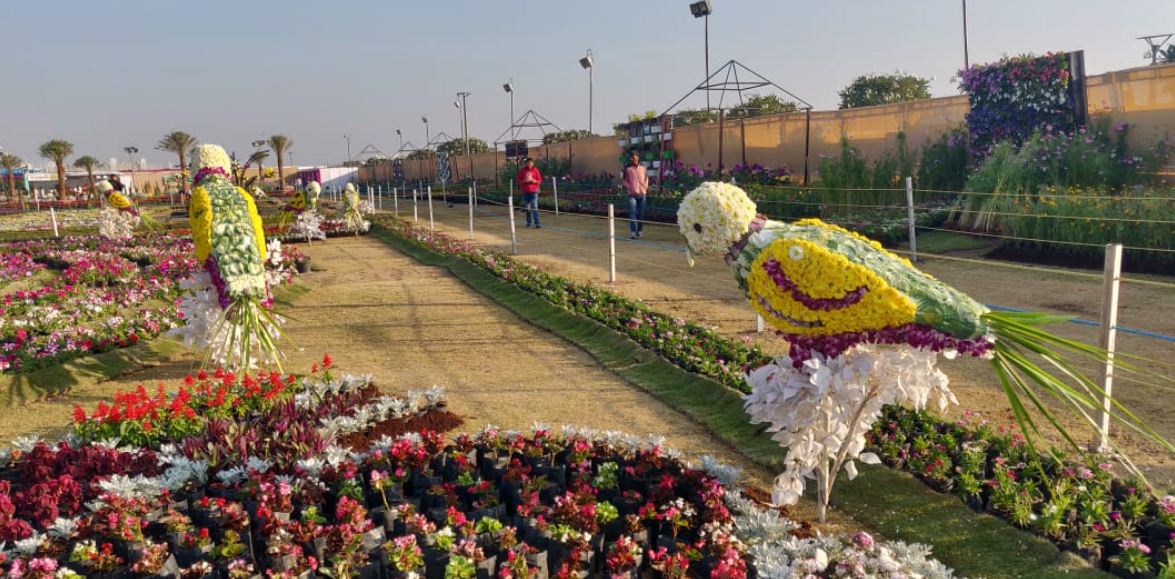 Ahmedabad Flower Show 2019 of AMC opens at Sabarmati Riverfront