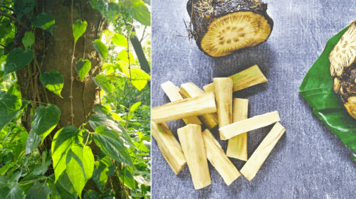 চুইজঝালের ঝাঁজে স্বাদের রাজত্ব