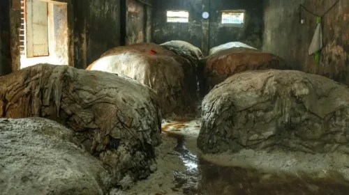 পোস্তায় সরকারি দরের অর্ধেক মূল্যে চামড়া বিক্রি, লোকসানের মুখে মৌসুমি ব্যবসায়ীরা