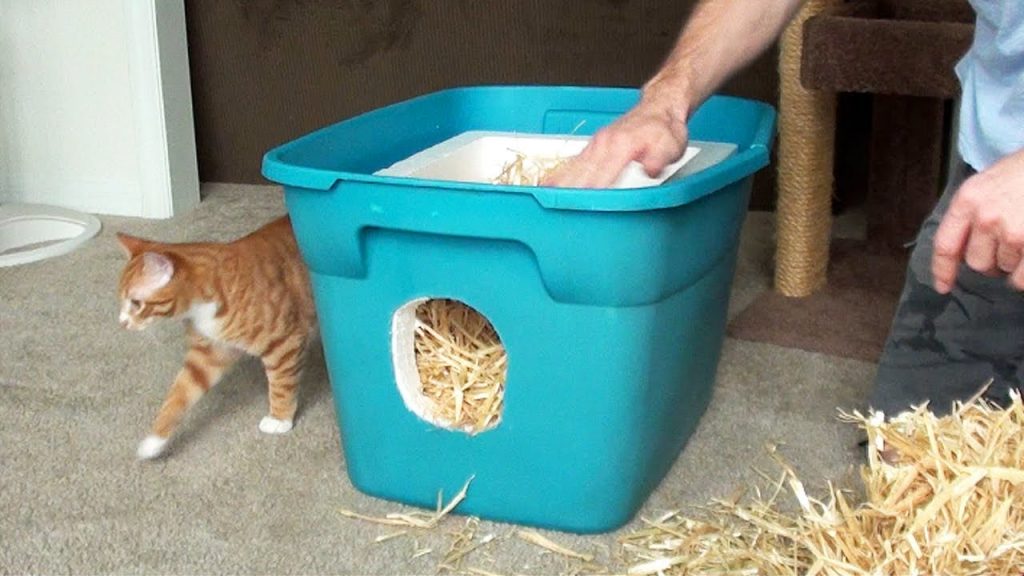 Un abri facile à construire pour protéger les chats
