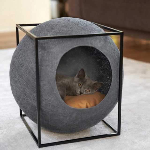 16 lits faits maison rien que pour votre chat Des idées