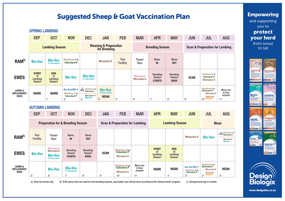 Sheep program Design Biologix