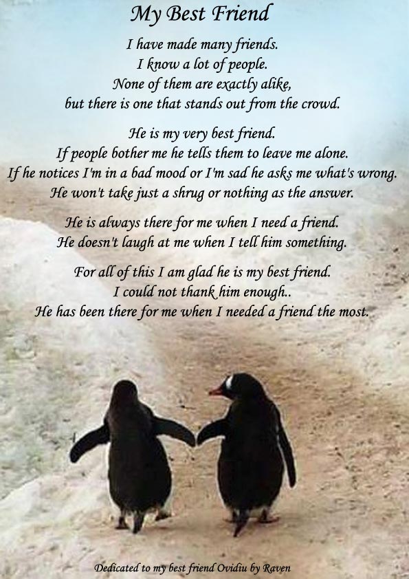 20 Cool Poems For Friends DesignBump