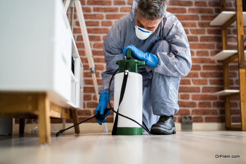 Why is Pest Control Essential for your Business in Brandon, MS