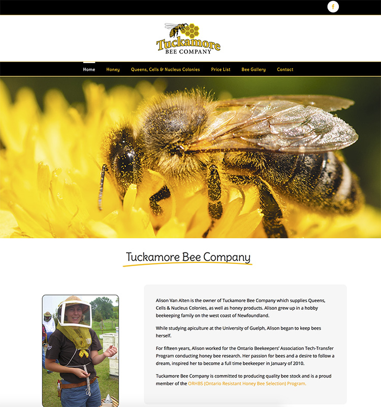 DESIGN CANADA site Designers of Stunning and Functional sites