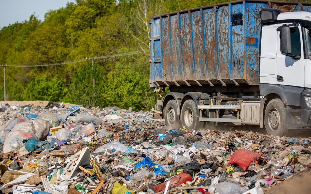 Cost of Couch Removal All You Need to Know about Pricing