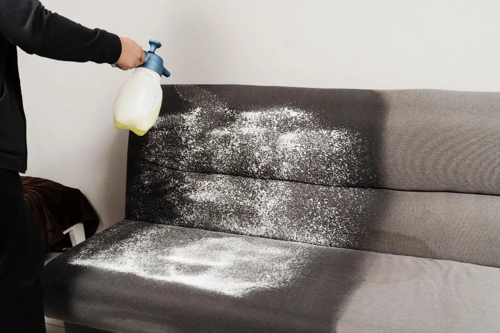 How to Scotchgard a Couch StepbyStep Guide for Protection & Durability