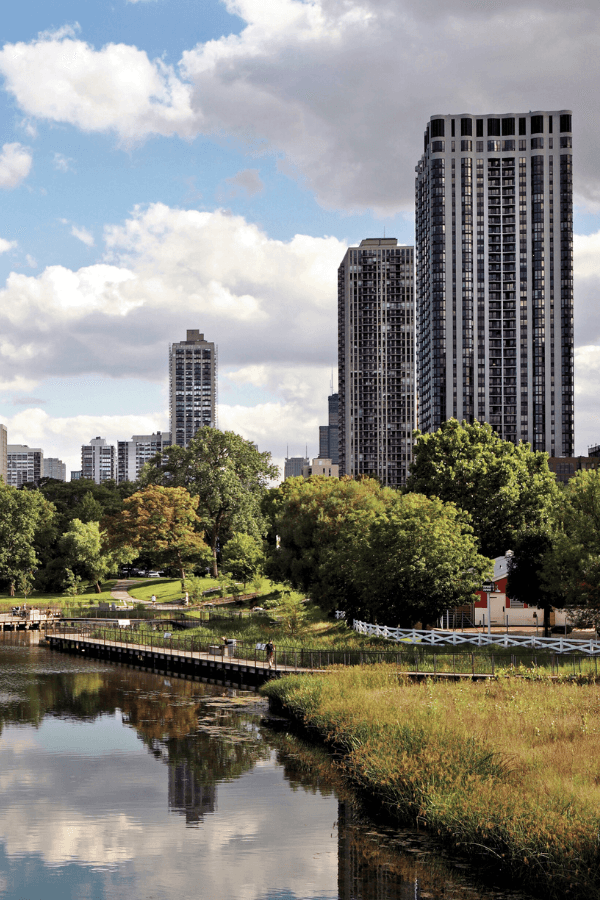 Interior Design School Chicago Illinois Matttroy