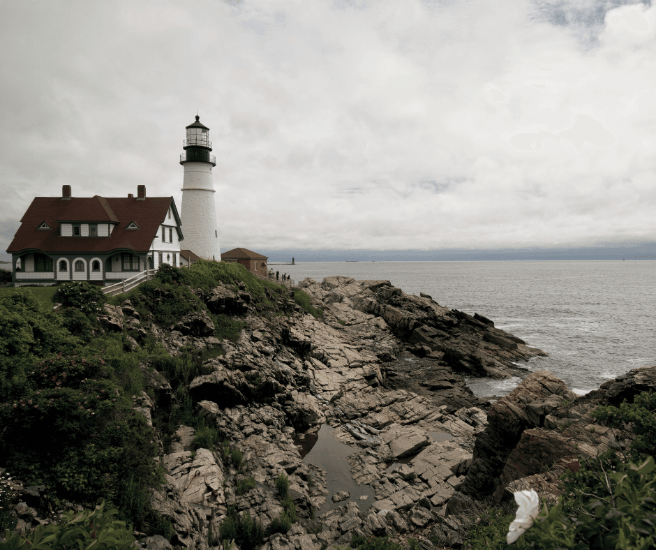 Inspired by the Natural World The Best Art Museums in Maine Design Dash