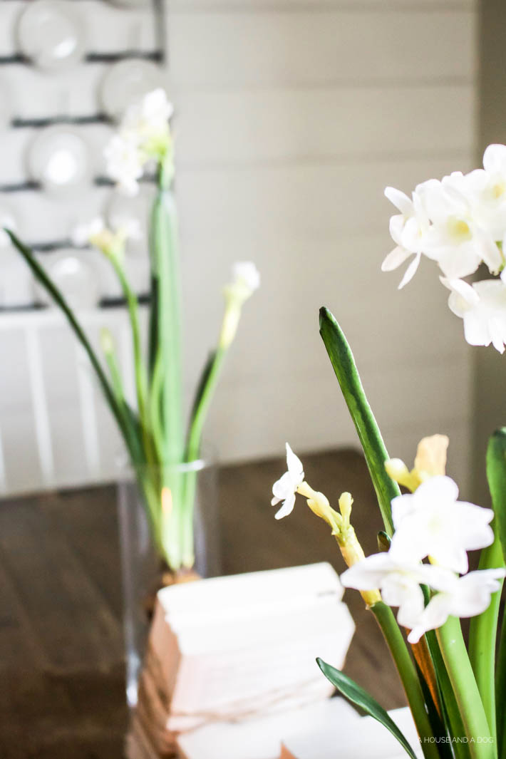 5 Ways to Decorate for Spring without Shopping Designed Simple