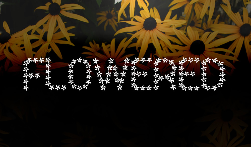 11 Free Flower Fonts for Your Floral Designs Designer Feed