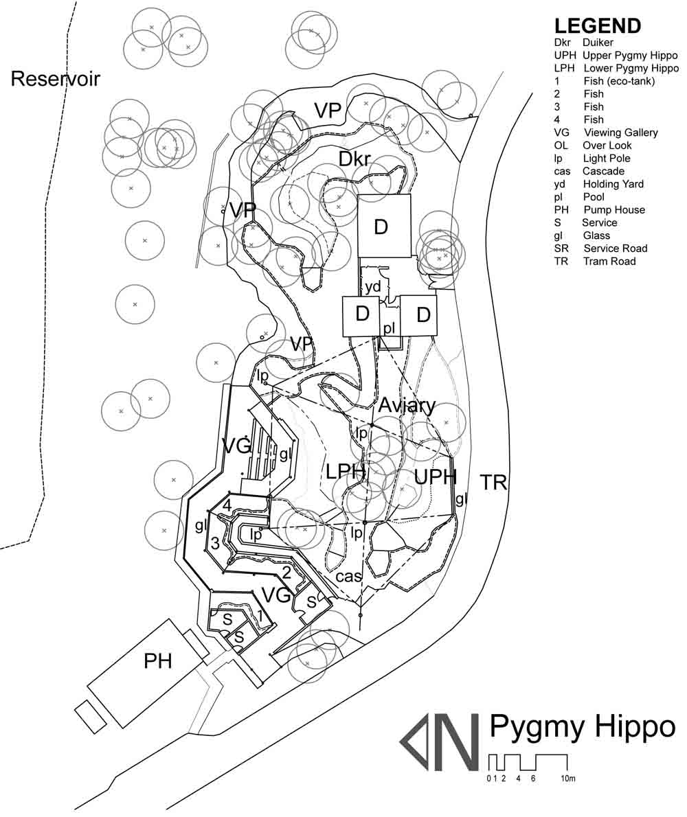 Dissertation on zoo design Pygmy hippo case study