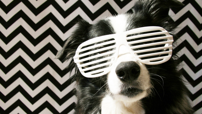 10 Best Photography Ideas to do at Home