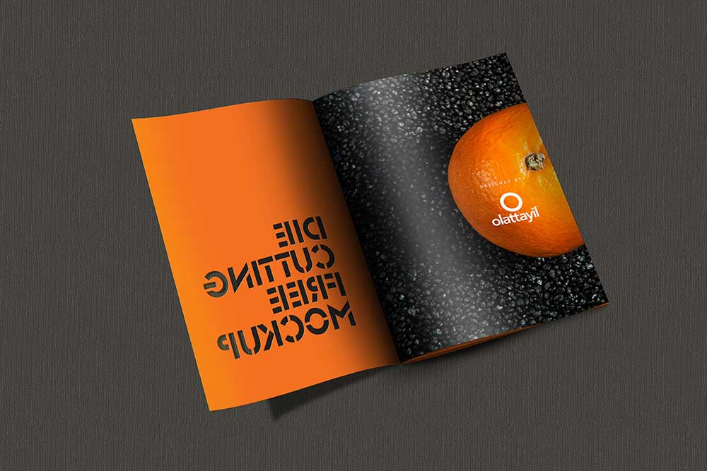 Free Download Die Cut Brochure Mockup in PSD Designhooks