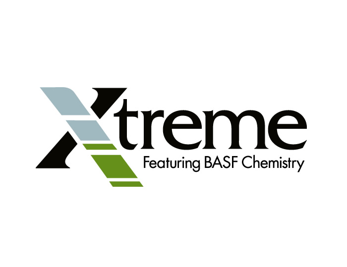 Designing Dawn Xtreme Logo • Designing Dawn